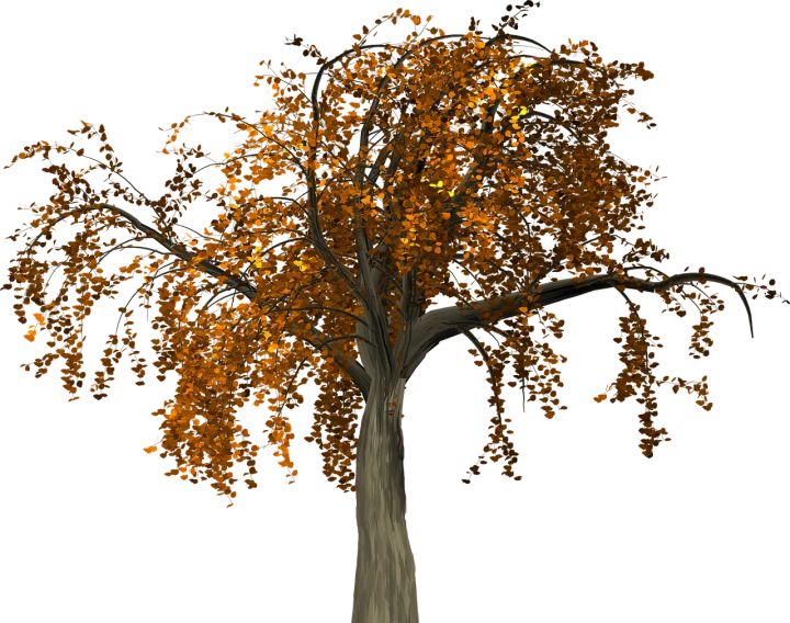 a tree with yellow leaves on a black background, a digital rendering, modeled in poser, autumnal empress, 1128x191 resolution, 8k octae render photo