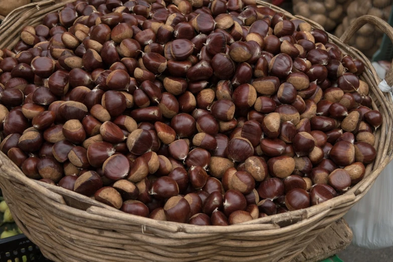 a basket filled with lots of nuts sitting on top of a table, hurufiyya, chestnut hair, sichuan, high quality image”, hd —h 1024