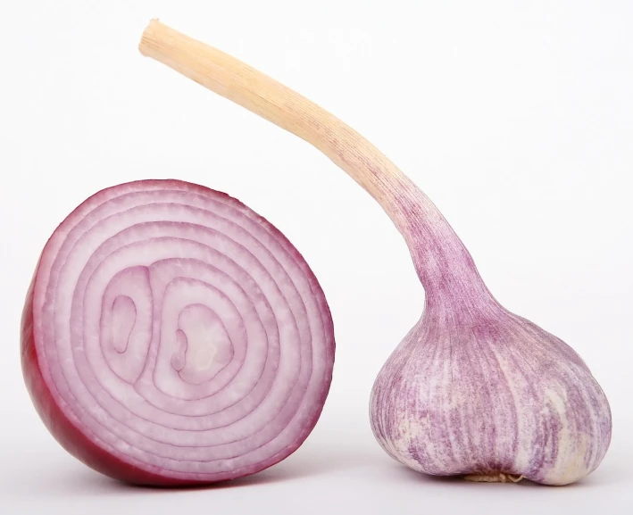 a slice of red onion next to a whole onion, by Harold von Schmidt, pixabay, with a white background, pestle, charlize, ear