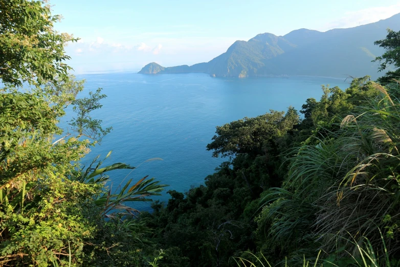 a view of the ocean from the top of a hill, a picture, by Juan O'Gorman, sumatraism, taiwan, fjord, mountainous jungle setting, beautiful late afternoon