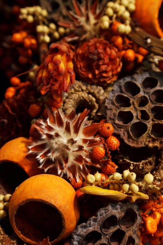 a pile of dried flowers sitting on top of a table, inspired by Rachel Ruysch, assemblage, orange colors, trypophobia, in the autumn forest, spices