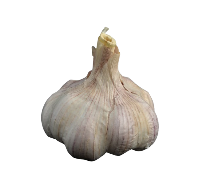 a close up of a clove of garlic on a black background, a digital rendering, hurufiyya, very accurate photo, high res photo