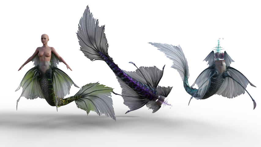 three different types of fish on a black background, inspired by Sōami, trending on polycount, feathers flying, merfolk riding seahorses, 3 d render 8 k shoot, mermaid tail