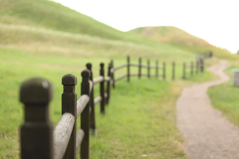 a wooden fence in front of a grassy field, a tilt shift photo, by Yi Jaegwan, be running up that hill, walkway, b - roll, dlsr photo