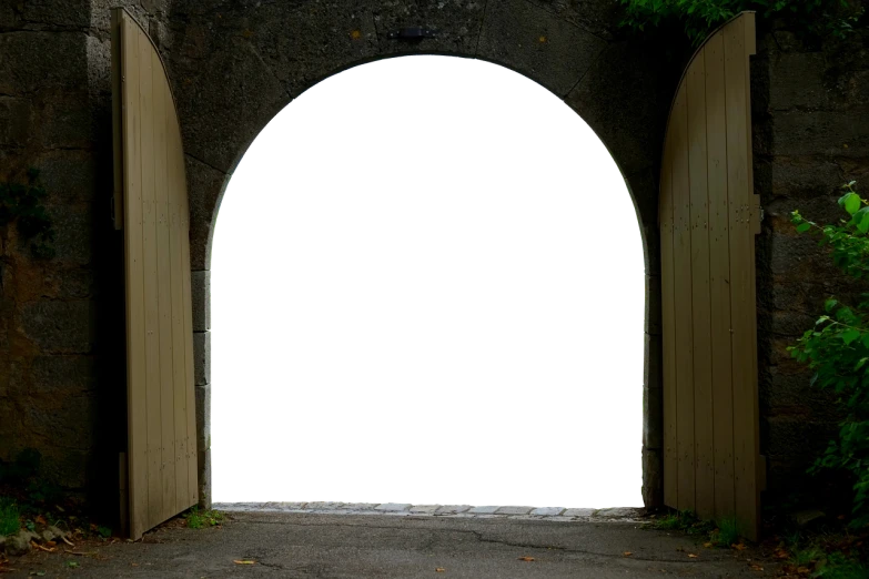 an open door leading into a dark tunnel, a picture, by Jens Søndergaard, shutterstock, postminimalism, yard, long open black mouth, full view blank background, stock photo