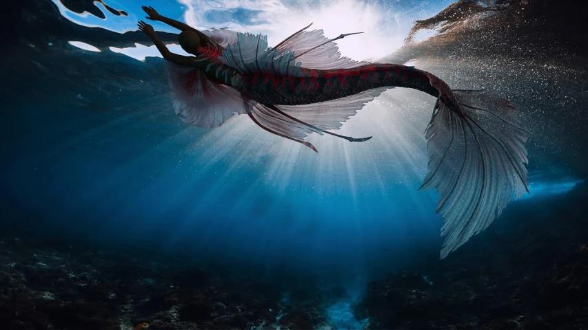 a fish that is swimming in the water, unsplash contest winner, fantasy art, underwater sea dragon full body, sensual and beautiful incubus, morning sunlight, red sea