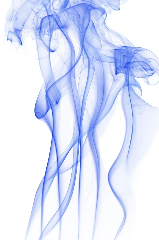 a close up of smoke on a white background, by Eva Gonzalès, blue! and white colors, smelling good, diffuse outline, coloured