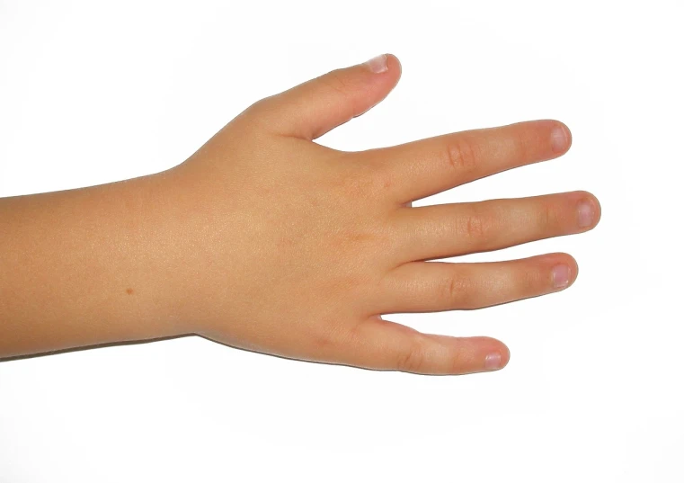 a close up of a person's hand on a white surface, a stock photo, realism, 4yr old, wikimedia, right hand side profile, tummy