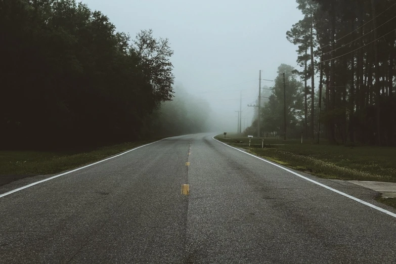 an empty road surrounded by trees on a foggy day, a picture, postminimalism, louisiana, phone background, gloomy sky, on the side of the road