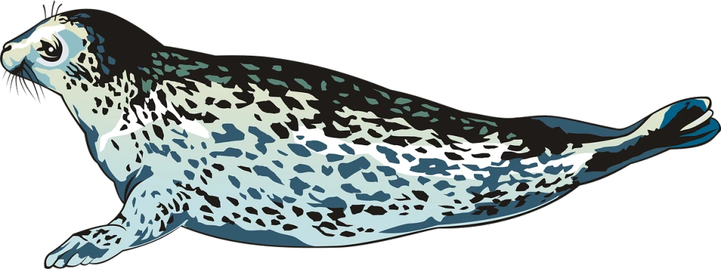 a close up of a seal on a black background, an illustration of, by Carey Morris, generative art, blue-green fish skin, full length view, created in adobe illustrator, white with black spots