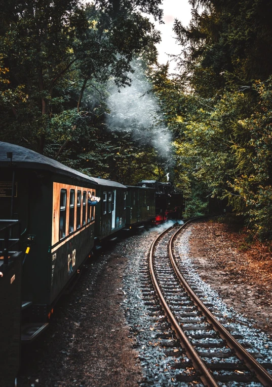 a train traveling through a lush green forest, a picture, by Jörg Immendorff, nostalgic feeling, leaving for battle, dark woods in the background, high quality photos