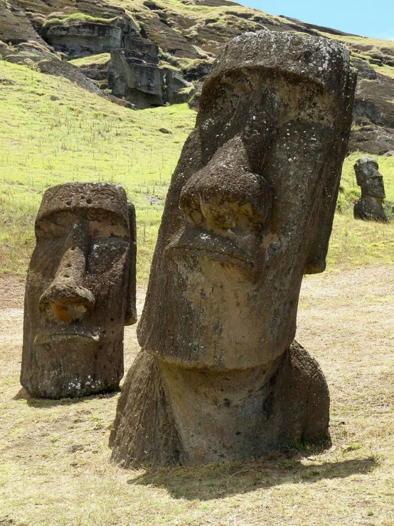 a couple of statues sitting on top of a grass covered field, flickr, polynesian god, long face, rugged face, symmetrical long head