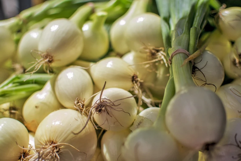 a pile of onions sitting on top of each other, a picture, by david rubín, pixabay, renaissance, light greens and whites, square, fan favorite, charlize