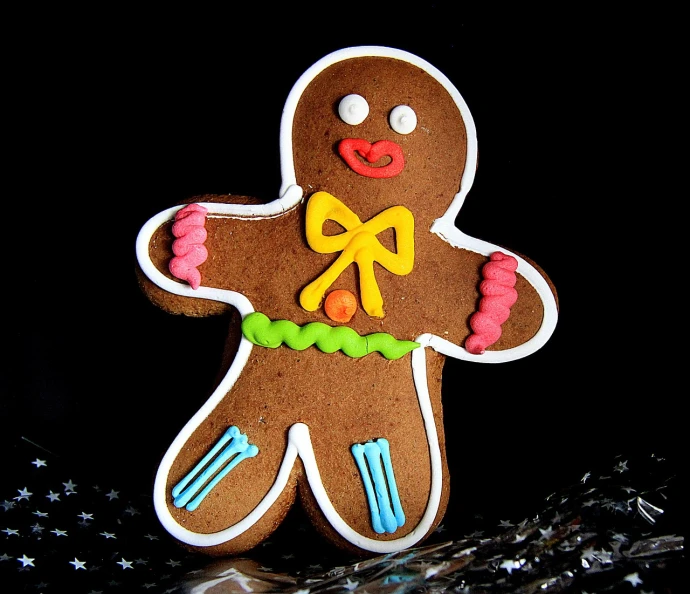 a close up of a gingerbread on a table, flickr, brilliantly coloured, loveable guy, neon edges on bottom of body, symmetric!
