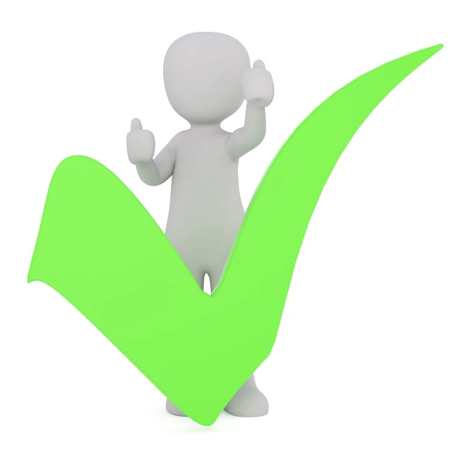 a person standing in front of a green check mark, a photo, figuration libre, thumbs up, 3 d image, praised, list