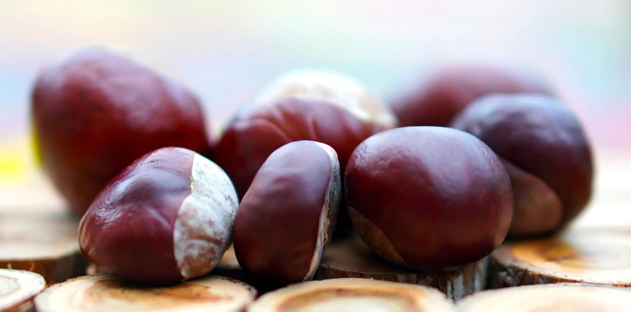 a pile of nuts sitting on top of a wooden table, a macro photograph, by Jan Rustem, sōsaku hanga, red brown and white color scheme, bottom - view, crimson themed, 🦩🪐🐞👩🏻🦳