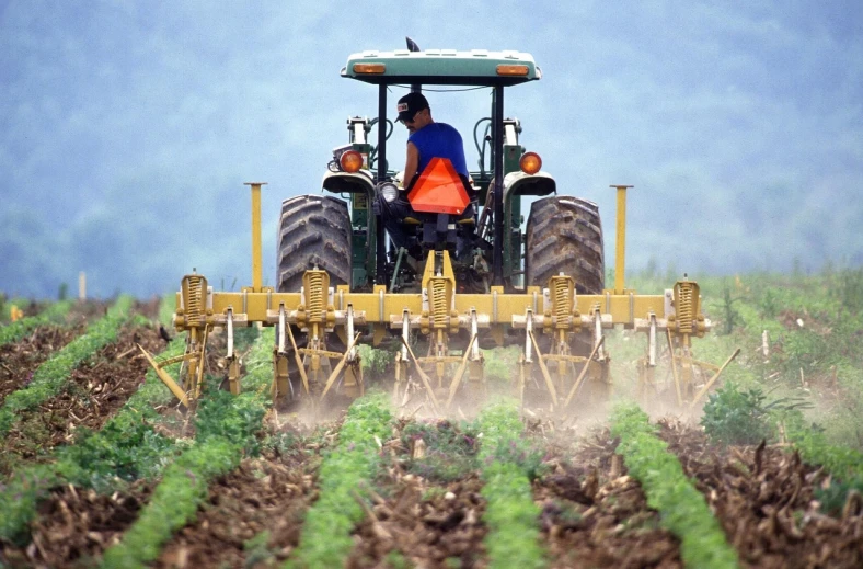 a man driving a tractor in a field, by Susan Heidi, precisionism, afp, back facing, cultivator, istockphoto