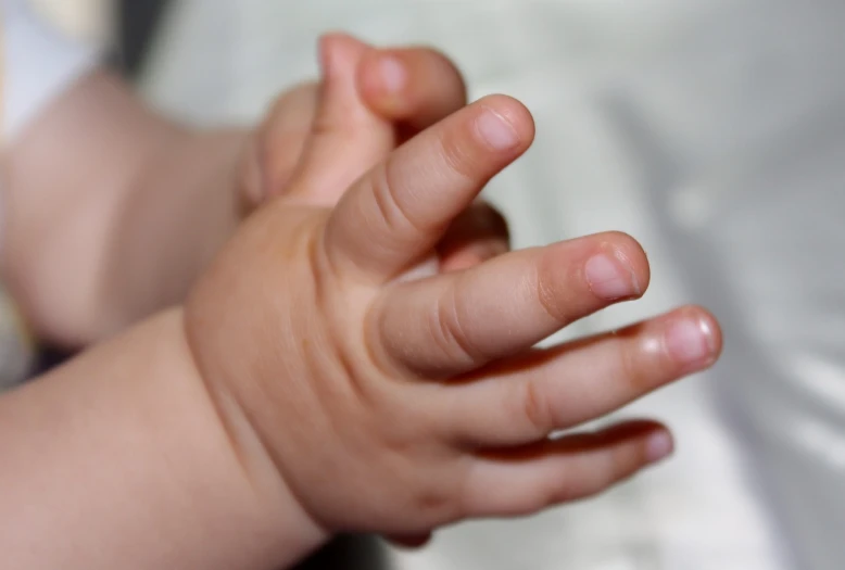 a close up of a person holding a baby's hand, by Linda Sutton, symbolism, shiny glossy skin, perfect hand anatomy, toddler, curved blades on each hand