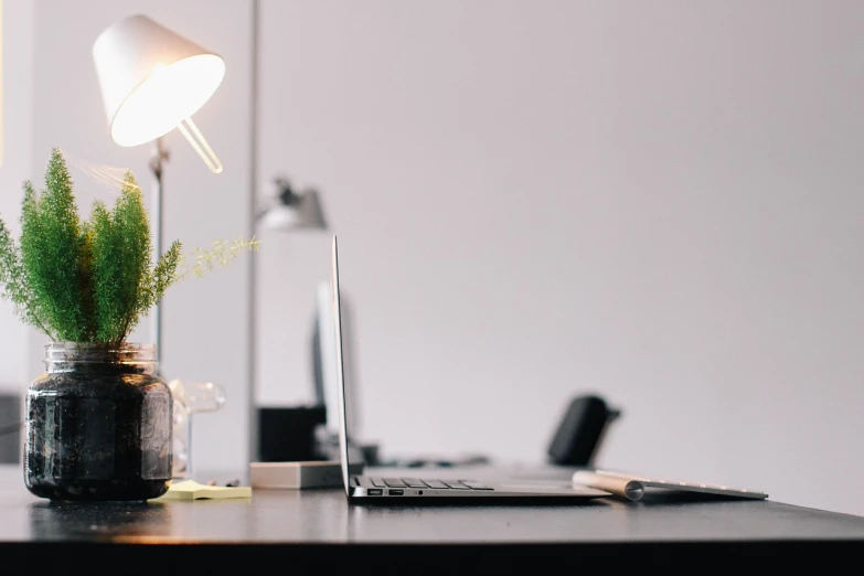 a laptop computer sitting on top of a wooden desk, light and space, lamps and flowers, half image, sitting in office, uncluttered