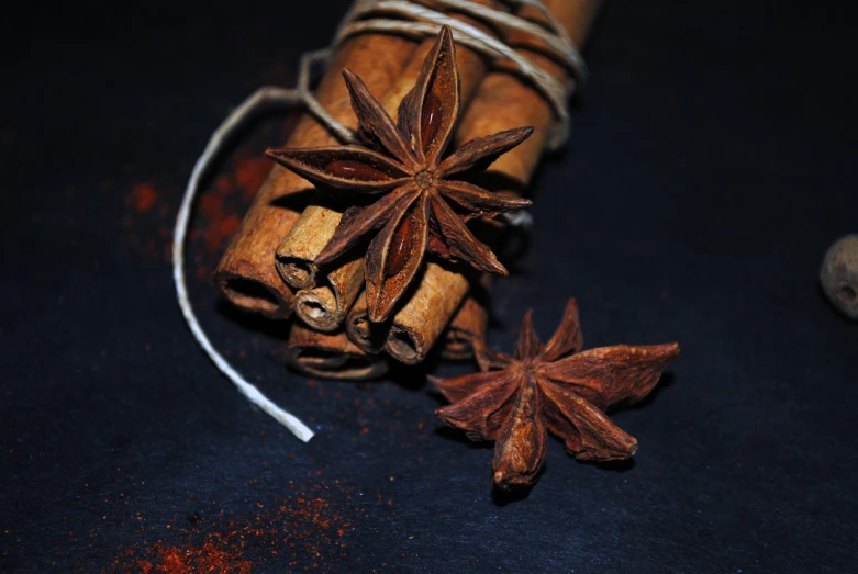 a bunch of cinnamon and star anise on a table, a portrait, by Sylvia Wishart, pexels, on black paper, avatar image, 1647, very cute