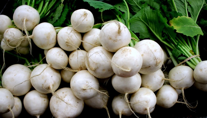 a bunch of white radishes sitting on top of each other, by Josef Navrátil, flickr, detailed zoom photo, round bulbous nose, silver, fashionable