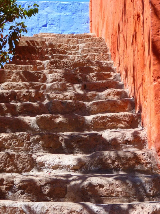 a cat that is sitting on some steps, a photo, inspired by Rodolfo Escalera, flickr, fauvism, red sandstone natural sculptures, view from below, timbuktu, azure and red tones