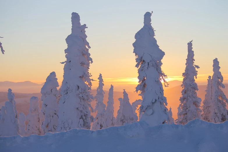 a man riding skis down a snow covered slope, by Veikko Törmänen, shutterstock, romanticism, sunset panorama, knotted trees, alaska, sculpted