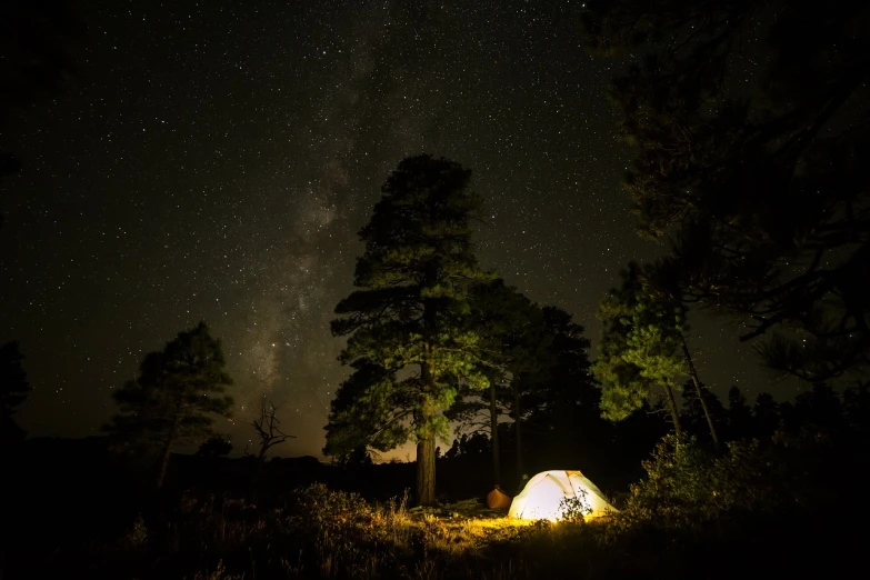 a tent sitting in the middle of a forest at night, a picture, by Matthias Weischer, usa-sep 20, new mexico, galaxy, side shot