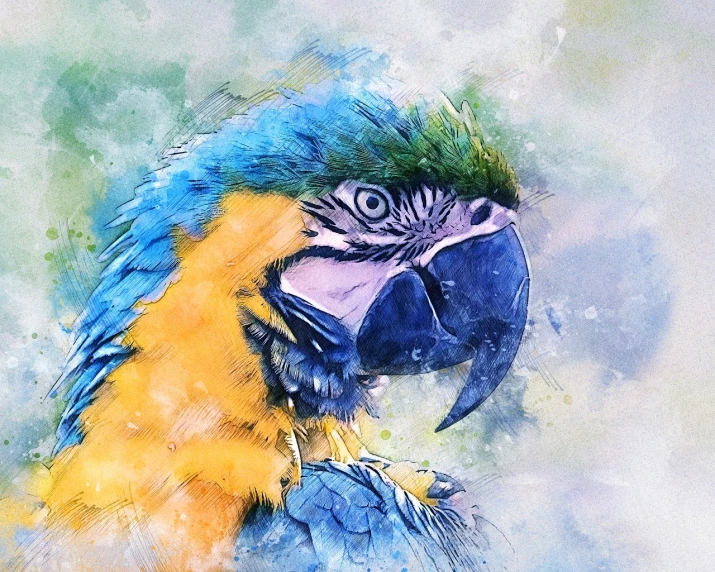 a watercolor painting of a blue and yellow parrot, a digital painting, inspired by Charles Bird King, trending on pixabay, process art, mixed media style illustration, beautiful art uhd 4 k, extremely textured, photo portrait