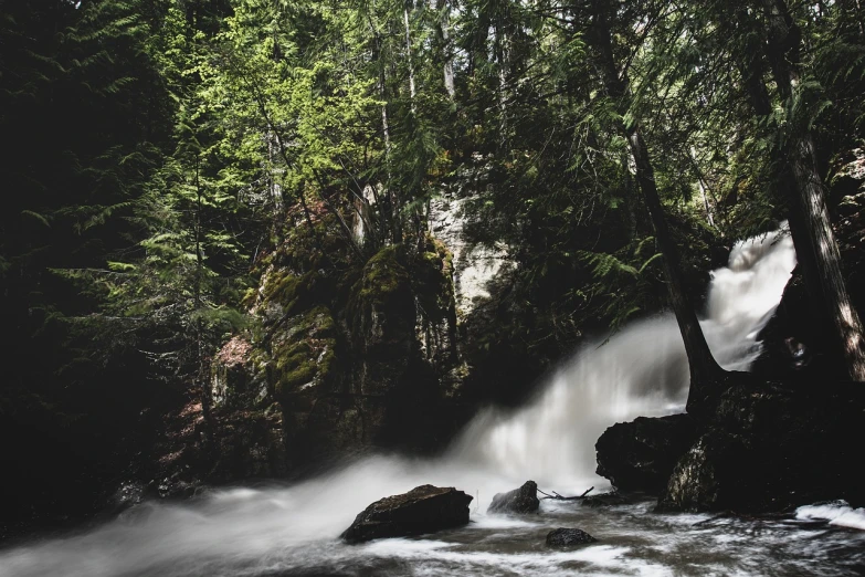 a waterfall flowing through a lush green forest, a picture, by Jacob Kainen, unsplash contest winner, romanticism, new hampshire, water torrent background, shot on sony alpha dslr-a300, white water