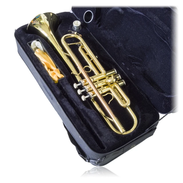 a close up of a trumpet in a case, by Rudolf Koller, shutterstock, front side views full, miniature product photo, full product shot, mikko