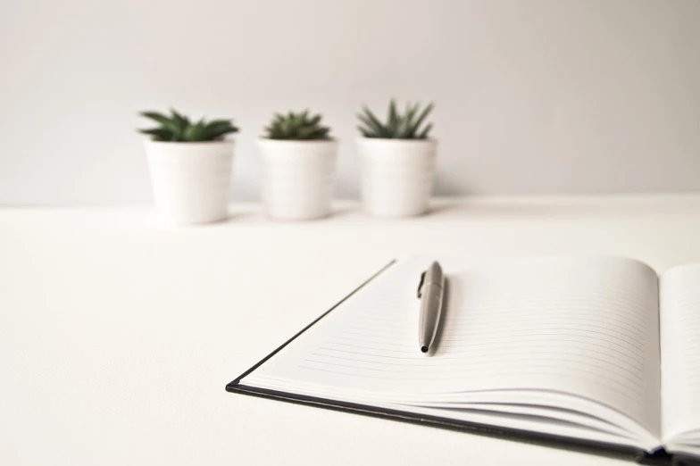 an open notebook with a pen sitting on top of it, a picture, by Karl Buesgen, minimalism, small plants, modern high sharpness photo