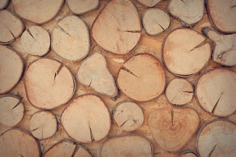 a pile of wood sitting on top of a wooden floor, a stock photo, shutterstock, folk art, tree bark texture, circles, background image, warm fireplace