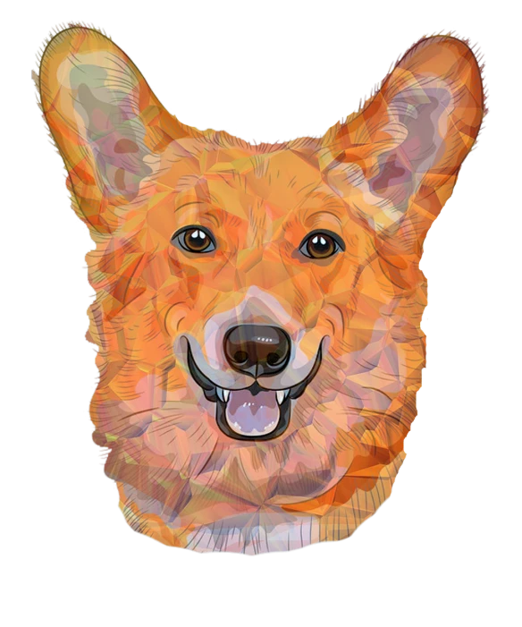 a close up of a dog's face on a black background, vector art, pop art, corgi, sharp high detail illustration, detailed color scan, on clear background