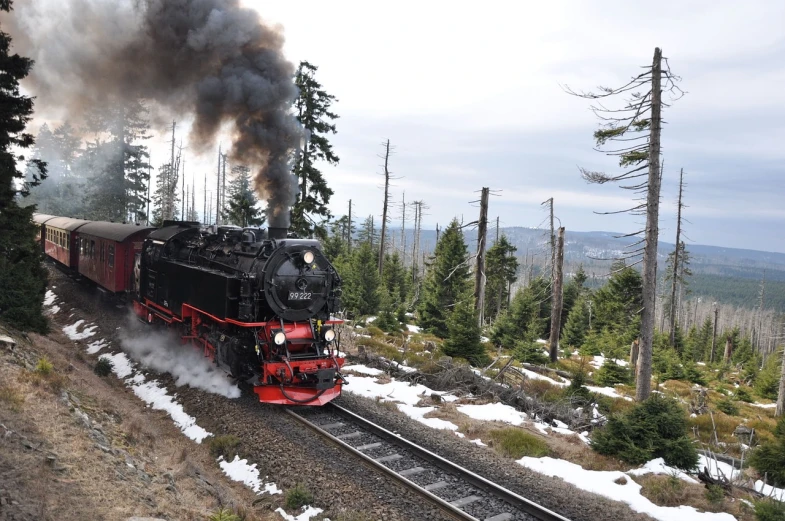 a train traveling down train tracks next to a forest, a portrait, steam trains, black forest, scene!!, press photos