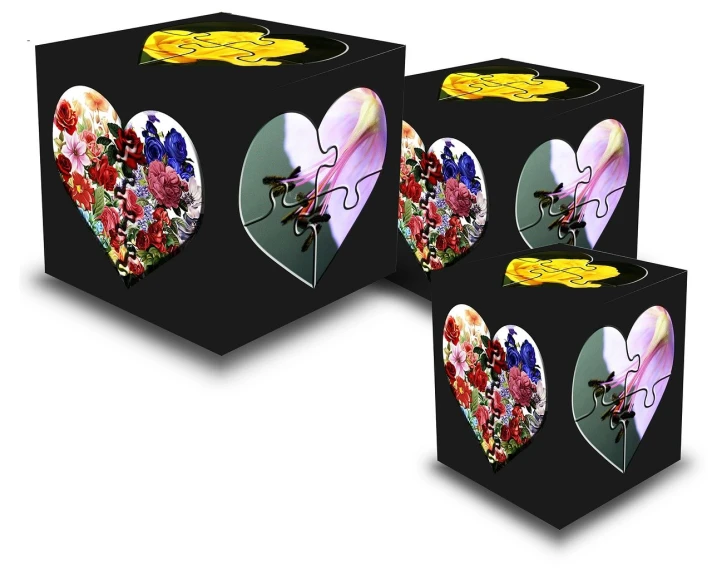 a couple of boxes sitting next to each other, a jigsaw puzzle, by Jon Coffelt, cubo-futurism, heart made of flowers, official product photo, black, high detail product photo