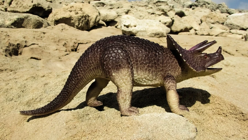 a close up of a toy dinosaur on a rock, by Harold von Schmidt, shutterstock, large horned tail, ”ultra realistic, kangaroo, 1992