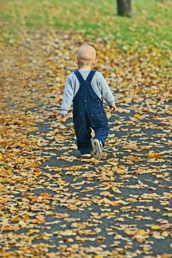 a little boy walking down a leaf covered road, pixabay, blue overalls, 3 4 5 3 1, edited, autum