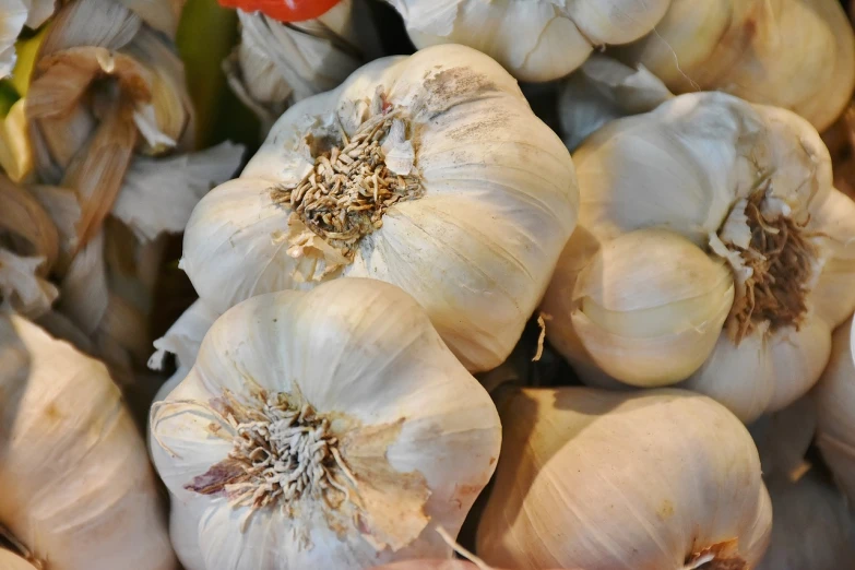 a close up of a bunch of garlic, a portrait, inspired by Carpoforo Tencalla, pixabay, hurufiyya, dwarf with white hair, inside a cavernous stomach, silver, highly detail