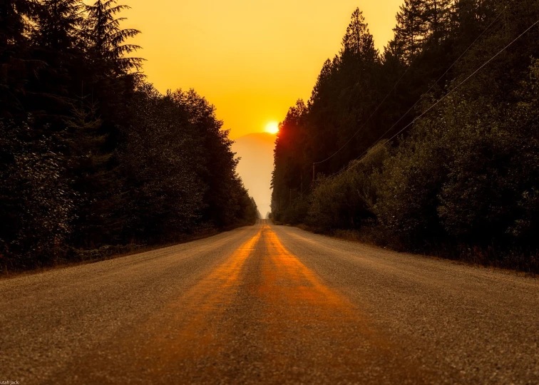 the sun is setting behind the trees on the side of the road, a picture, by Etienne Delessert, shutterstock, chile, depth of field”, corduroy road, cascadia