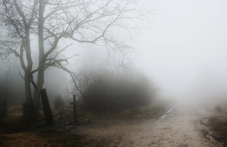 a dirt road surrounded by trees on a foggy day, a picture, romanticism, old cemetery, walking above the clouds and fog, atmosphere of silent hill, white mist