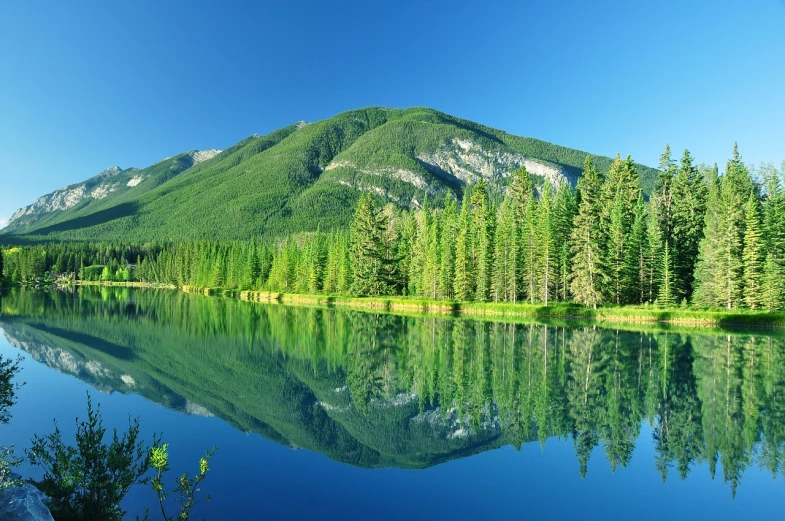 a body of water surrounded by trees and mountains, a picture, shutterstock, reflections. shady, banff national park, grass mountain landscape, wide angle”