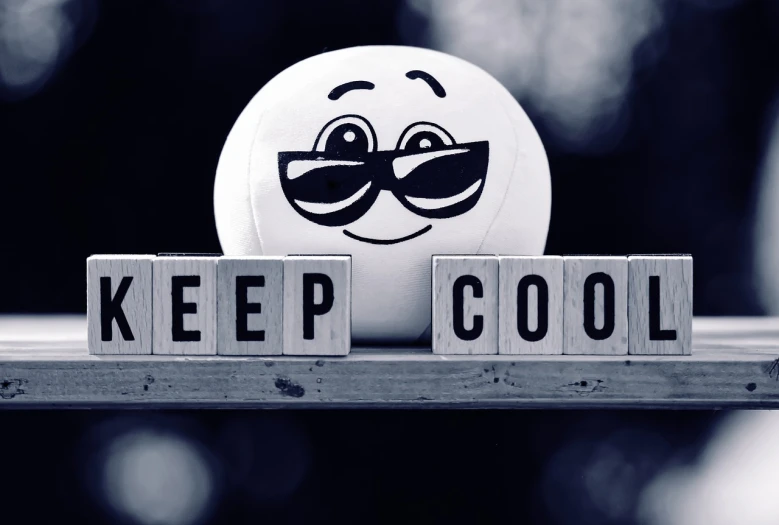 a white frisbee sitting on top of a wooden block, a cartoon, inspired by Francesco Cozza, unsplash, cool sunglasses, happy smiley, cold freezing nights, b&w!