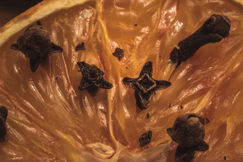 a close up of a grapefruit cut in half, by Aleksander Gierymski, vanitas, dried flower, pentagrams, tar - like, amber