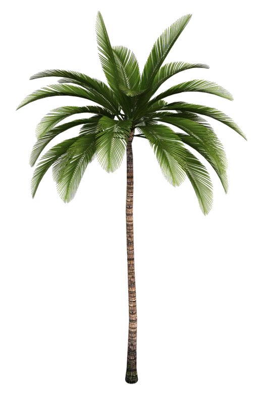 a palm tree on a black background, a digital rendering, 1128x191 resolution, 3 d models, -w 1024, game asset of plant and tree