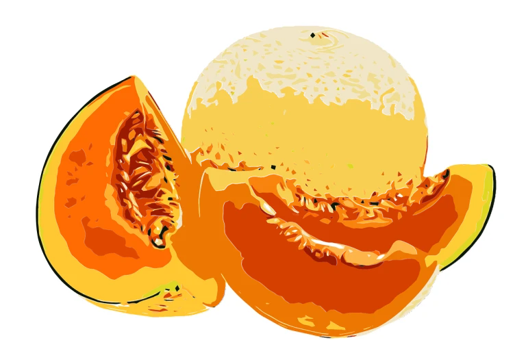 a close up of a sliced orange on a white background, an illustration of, pixabay, digital art, pumpkins, in shades of peach, rice, a beautiful artwork illustration