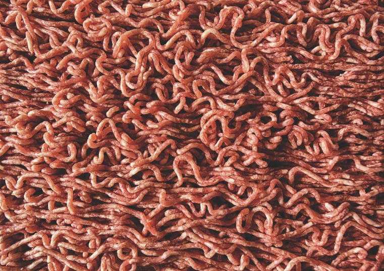 a pile of ground beef sitting on top of a table, a stock photo, by Attila Meszlenyi, pexels, thick looping wires, texture detail, brown fringe, maze-like