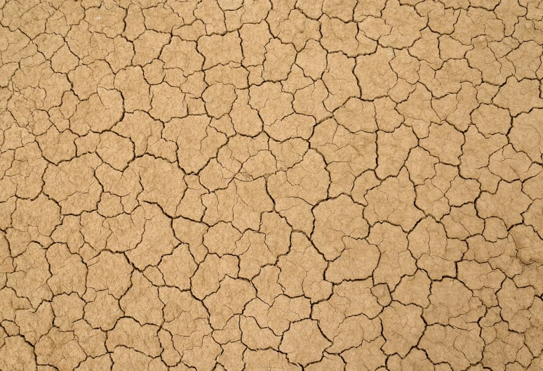 a wall that has some dirt on it, a photo, shutterstock, land art, cracked dry lake bed, light brown background, lumpy skin, ffffound