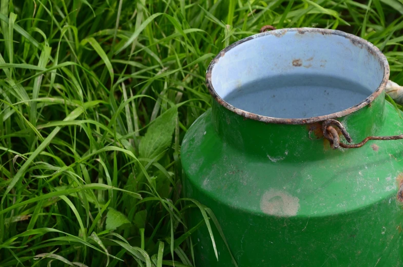 a green vase sitting on top of a lush green field, flickr, puddle of milk, metal lid, closeup photo, banner