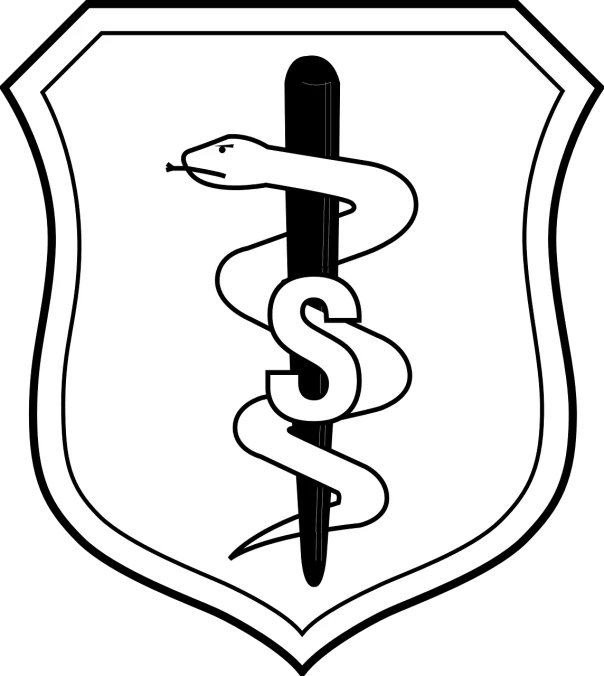 a black and white shield with a snake wrapped around it, inspired by Adolf Ulric Wertmüller, cg society, nurse, scp-914, rating: general, syringe